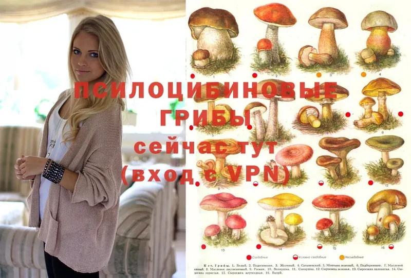 Псилоцибиновые грибы MAGIC MUSHROOMS  Дальнегорск 